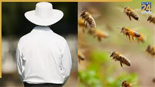 ക്രിക്കറ്റ് മത്സരത്തിനിടെ തേനീച്ച ആക്രമണം ; അംബയർ മരണപ്പെട്ടു 